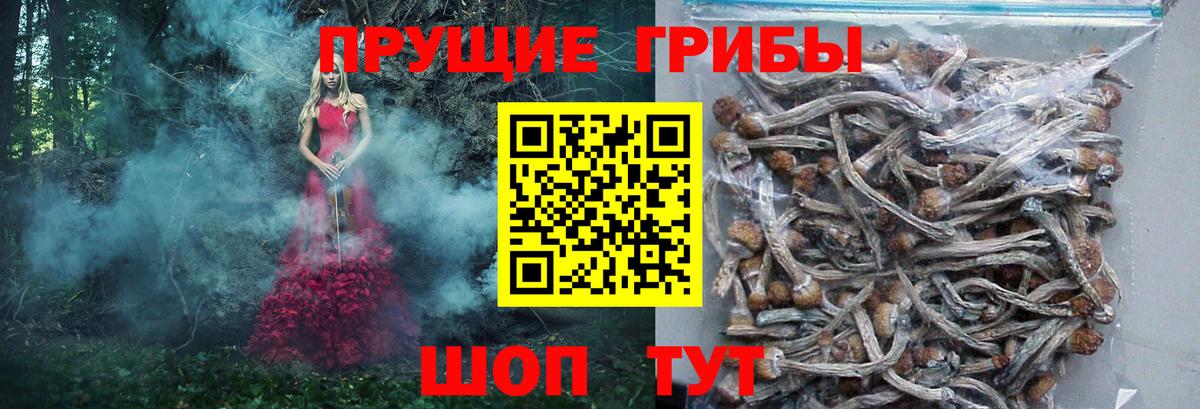 Феодосия  Галлюциногенные грибы Psilocybe  Галлюциногенные грибы MAGIC MUSHROOMS  Вход с VPN 
